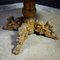 Antique Wooden Oval Table with Lions Heads on the Legs 5