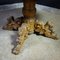 Antique Wooden Oval Table with Lions Heads on the Legs, Image 5