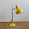 Table or Floor Lamp from Napako 6