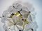 Floral Crystal & Brass Flush Mount Chandelier by Ernst Palme for Palwa 4