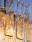 Lámpara colgante grande de cristal de Murano en ámbar, años 70, Imagen 5