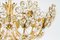 Gilt Brass Cut-Glass Flower Chandelier by Palwa, Germany, 1970s, Image 6