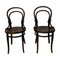 Art Nouveau N° 14 Chairs by Michael Thonet for Thonet, Set of 2 1