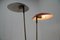 Mid-Century Floor Lamp by Drukov, 1960s 9