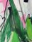 Adrienn Krahl, Sunday in Avignon, 2021, Acrylic, Graphite, Oil Pastel & Charcoal on Canvas 7