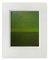 Janise Yntema, Linear Moss, 2021, Cold Wax & Oil Stick on Canvas Paper 1