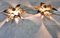 Brass Flower Table or Ceiling Lights by Willy Daro, 1970s, Set of 2 3