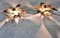 Brass Flower Table or Ceiling Lights by Willy Daro, 1970s, Set of 2, Image 3