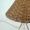 Mid-Century Rattan and Brass Table Lamp, Germany, 1950s 7