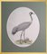 Magnus von Wright, Birds Composition, Svenska Faglar, Ornithology Drucke, 19. Jh., 10er Set 6
