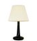 Fleur Table Lamp by Michael Bang for Holmegaard 1