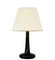 Fleur Table Lamp by Michael Bang for Holmegaard, Image 1