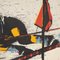 20. Jahrhundert Siebdruck eines Slalom Downhill Ski Race Poster, 1970 8