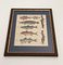 Lorenz Oken, Natural History, 1843, Hand Coloured Lithographs, Set of 6, Image 20