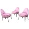 Mid-Century Italian Pink Velvet and Metal Leg Armchairs, 1950s, Set of 3 1