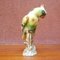 Mid-Century Italian Polychrome Ceramic Parrot, 1960s 2