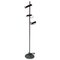 Italian Three-Lights Black Metal Structure P393 Floor Lamp by Luci, 1970s, Image 1