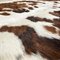 Mid-Century Modern Italian Country Long Pile Brown and White Cowhide Carpet,1980s 7
