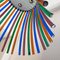 Mid-Century Modern Italian Multi Colored Murano Chandelier with Curved Rods, 1970s 7
