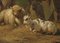 Pieter Plas, establo de ovejas, siglo XIX, óleo sobre lienzo, enmarcado, Imagen 5