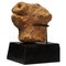 Terracotta Animal Head, Probably Ghana, Image 1