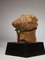 Terracotta Animal Head, Probably Ghana 4