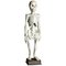 Esqueleto humano de pie esculpido en madera, Sureste de Asia, siglo XX, Imagen 1