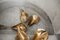 Pisapapeles OYSTER fundido a mano de bronce macizo y pátina dorada de Sarah-Linda Forrer, Imagen 3