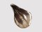 Fermacarte Oyster in bronzo massiccio lavorato a mano e patina bianca di Sarah-Linda Forrer, Immagine 2