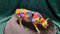 Ceramic Cowparade Sculpture by Kay Ormond, Image 10