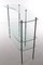 Vintage Glass Wall Rack, France, 1960 2