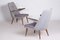 Mid-Century Czech Grey Armchairs, 1950s, Set of 2, Image 10