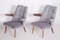 Mid-Century Czech Grey Armchairs, 1950s, Set of 2 9