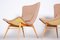 Fauteuils Mid-Century, République Tchèque, 1950s, Set de 2 8