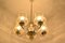 Mid-Century Chandelier, Czechoslovakia, 1970s, Image 14