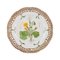 Flora Danica Openwork Plate in Hand-Painted Porcelain from Royal Copenhagen 1