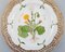 Flora Danica Openwork Plate in Hand-Painted Porcelain from Royal Copenhagen 2