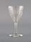 Baccarat Tallyrand Glasses in Clear Mouth-Blown Crystal Glass, France, Set of 7, Image 5