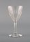 Bicchieri Baccarat Tallyrand in cristallo trasparente soffiato a bocca, Francia, set di 7, Immagine 5