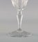 Verres à Vin Baccarat Art Déco en Verre de Cristal Transparent, France, Set de 5 6