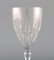 Art Deco Baccarat Red Wine Glasses in Clear Crystal Glass, France, Set of 5 3