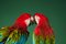 Macaw #2, 2013, Archival Pigment Print 7