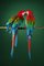 Macaw #2, 2013, Archival Pigment Print, Image 8