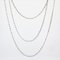Chiseled Silver Long Chain Necklace, 1900s 9