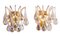 German Murano Glass Teardrops & Gilt-Brass Palwa Wall Sconces, 1960s, Set of 2 8