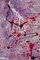 Bomberbax, Painting, 2021, Mixed Media on Canvas, Image 17