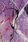 Bomberbax, Painting, 2021, Mixed Media on Canvas 9