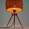 Mid-Century Austrian Rattan, Teak & Brass Table Lamp by J.T Kalmar, 1950s 8