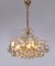 German Murano Glass Tear Drop & Gilt-Brass Chandelier from Palwa, 1960, Image 8