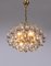 German Murano Glass Tear Drop & Gilt-Brass Chandelier from Palwa, 1960, Image 7